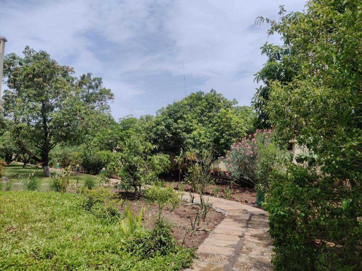 Gir Birding Lodge Sasan Gir Buitenkant foto