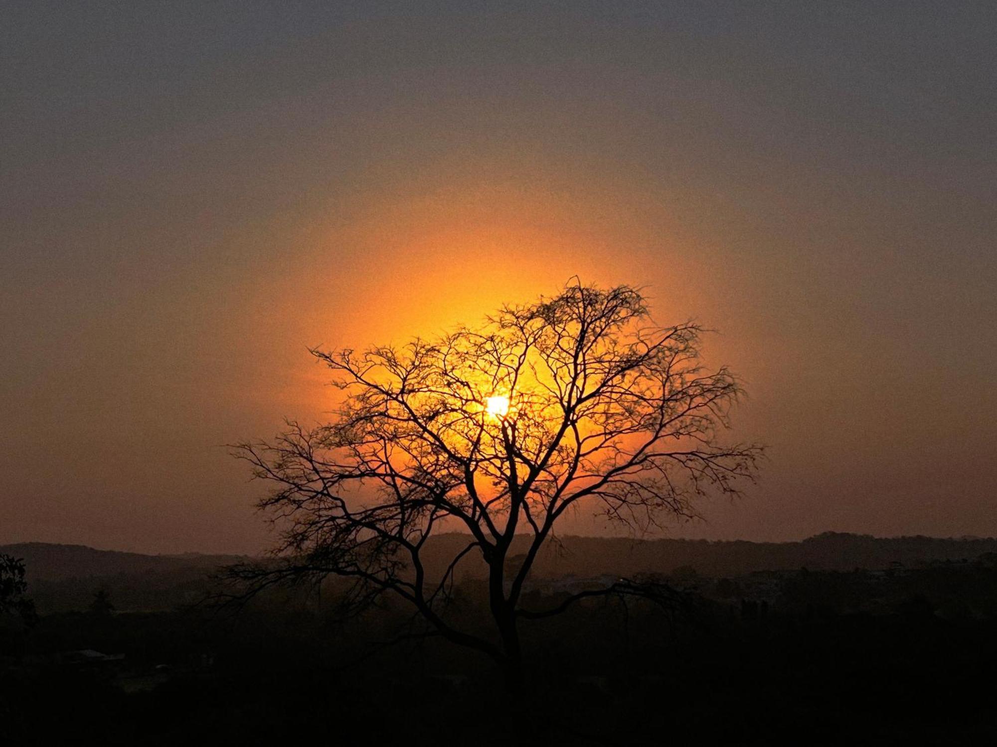 Gir Birding Lodge Sasan Gir Buitenkant foto